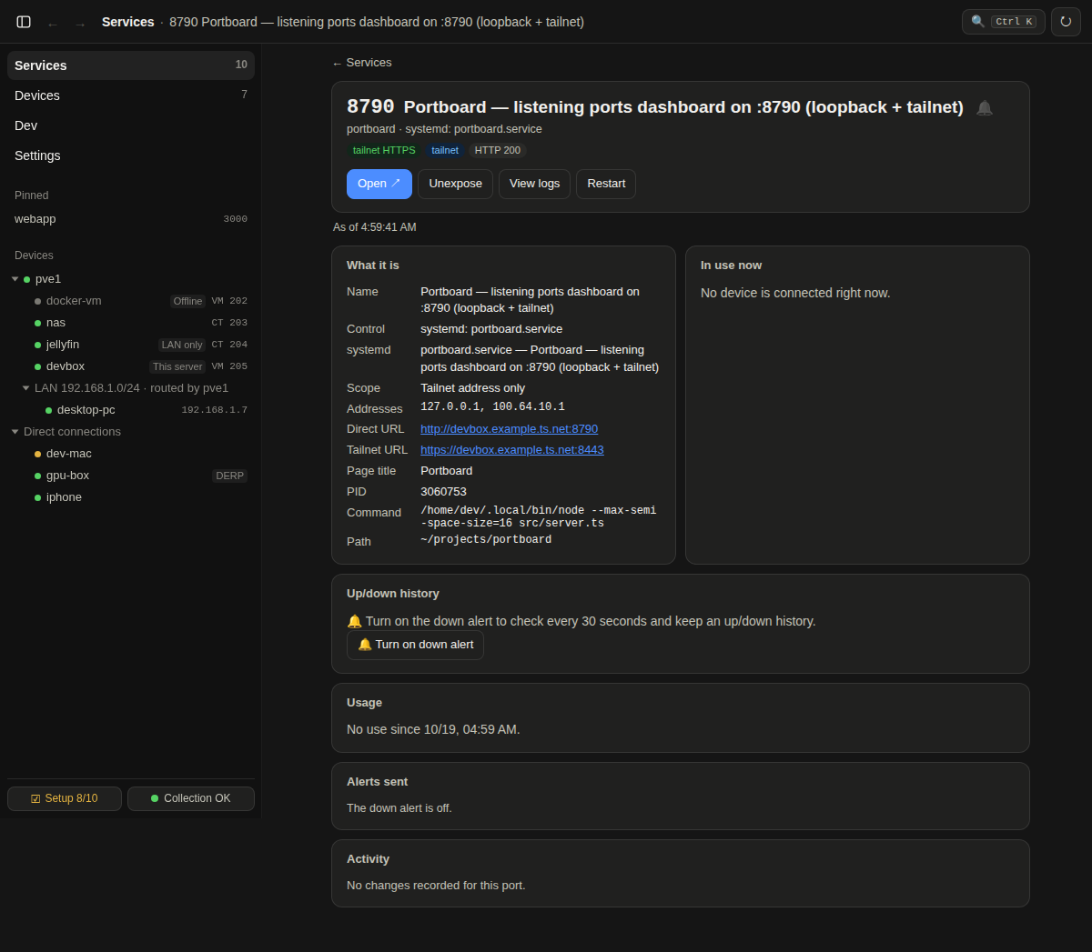 A service page in dark mode: what it is, how to open it, who uses it, its uptime and alerts